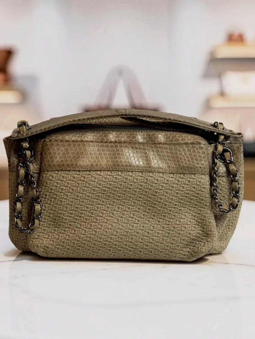 Chanel Python-Trimmed Accordion Flap Bag Taupe Exotic